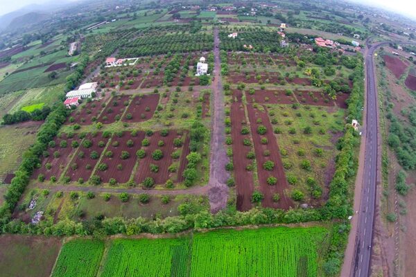 Aerial View of Plots